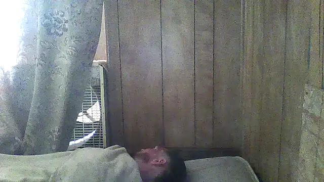 luke thighwalker2469 online show from March 5, 2026, 5:20 pm