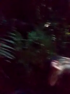 mis312 online show from March 5, 2025, 2:36 am