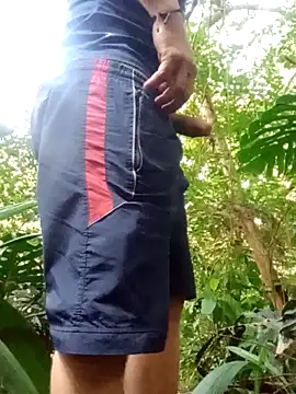 mis312 online show from September 28, 2025, 8:49 pm