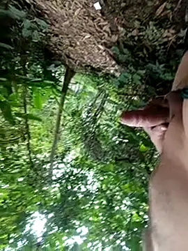 mis312 online show from December 16, 2025, 1:15 pm