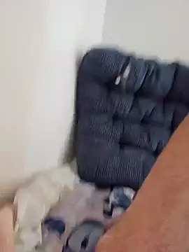 jorwee online show from December 3, 2024, 2:33 pm