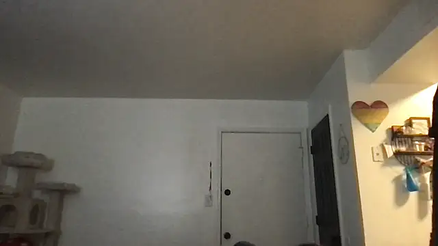 SpunCandy online show from January 17, 2026, 3:15 pm