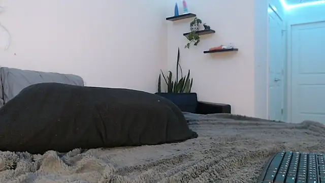 Snapshot of fallongrayxo chatting on March 8, 2025, 11:28 pm fallongrayxo online show from March 8, 2025, 11:28 pm