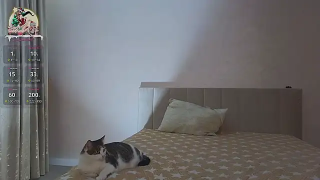 Sandrikta online show from February 3, 2025, 7:42 pm