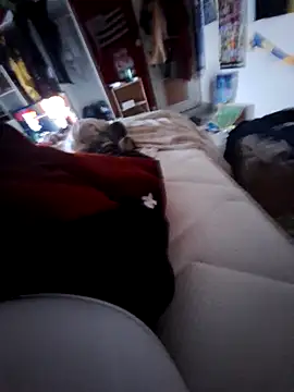 Snapshot of thefrenchhogan29 chatting on February 13, 2025, 4:07 pm thefrenchhogan29 online show from February 13, 2025, 4:07 pm