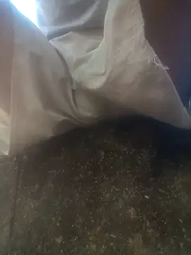 Snapshot of thalles01464 chatting on February 15, 2026, 2:38 pm thalles01464 online show from February 15, 2026, 2:38 pm