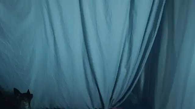 1BECHA1 online show from October 2, 2025, 4:16 am