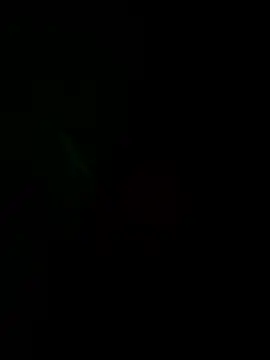 Snapshot of josle24 chatting on December 8, 2024, 3:35 pm josle24 online show from December 8, 2024, 3:35 pm