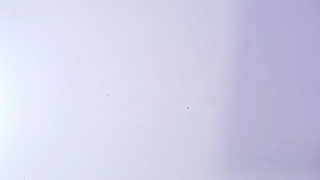 nicol f online show from March 5, 2026, 3:14 am