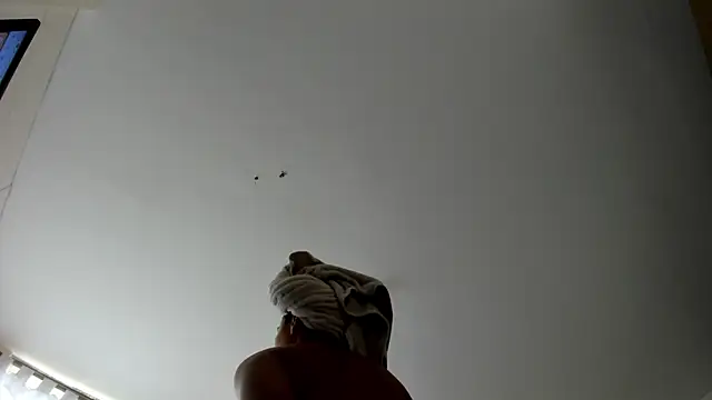 Snapshot of evely_coelloo chatting on September 9, 2025, 9:13 pm evely coelloo online show from September 9, 2025, 9:13 pm