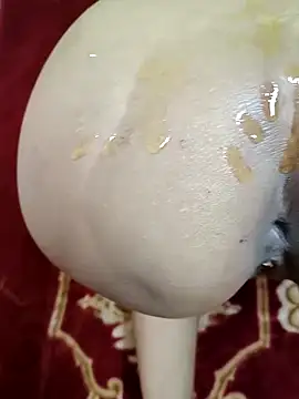 Snapshot of GF_nd_BF_ chatting on March 1, 2025, 3:38 pm GF nd BF online show from March 1, 2025, 3:38 pm