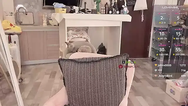 -XunMengLong- online show from December 5, 2024, 11:01 pm