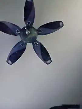 honeymex online show from September 18, 2025, 10:57 pm