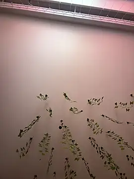 -Sexy Barbie- online show from March 11, 2025, 2:42 am