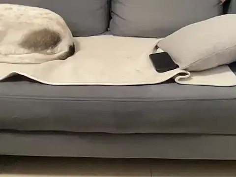 4small4inchlol online show from September 21, 2025, 9:31 pm