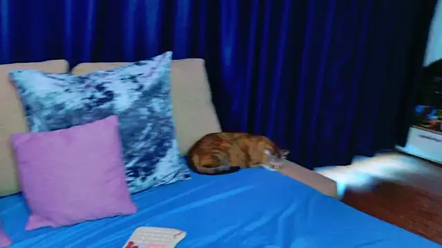 Alison   online show from July 8, 2026, 6:03 am