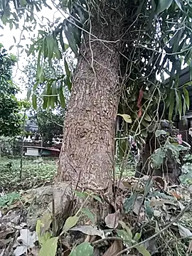 Fuckmehard2xx online show from March 9, 2025, 9:35 am