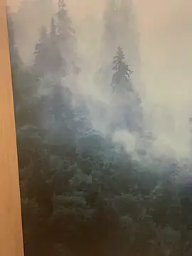 ladoucedu34 online show from February 11, 2026, 3:34 pm