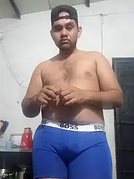 travieso2893 online show from November 29, 2025, 3:28 am