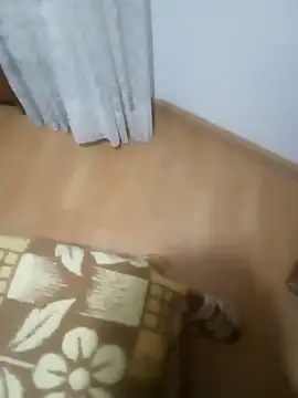 rush6983 online show from November 6, 2025, 1:31 am