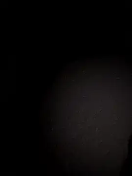 Metetededosmami online show from January 11, 2026, 9:05 am