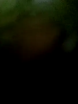 JAWHARA  online show from November 6, 2025, 1:04 pm