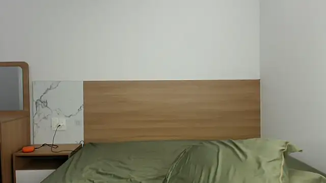 Snapshot of heilgarbest chatting on October 16, 2025, 9:28 am heilgarbest online show from October 16, 2025, 9:28 am