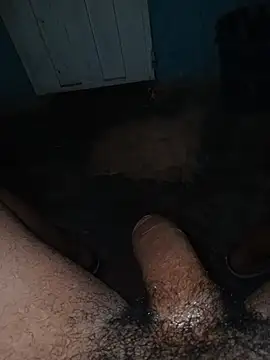 taylorWiiz online show from December 23, 2025, 1:49 am