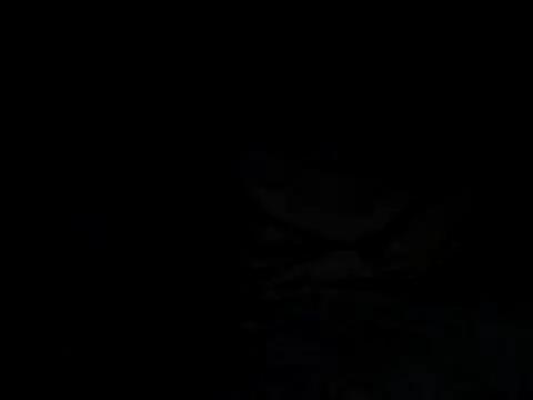 tonkisa online show from July 8, 2026, 9:48 pm