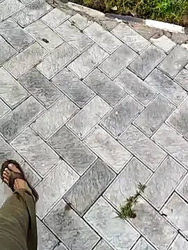 Ishan003 online show from September 12, 2025, 1:39 am