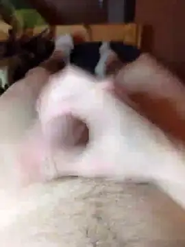 Crazzy Maiky online show from January 29, 2025, 9:07 pm