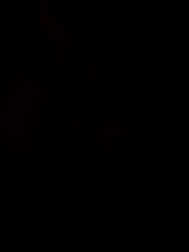 AssamSilchar93 online show from February 24, 2026, 5:41 am