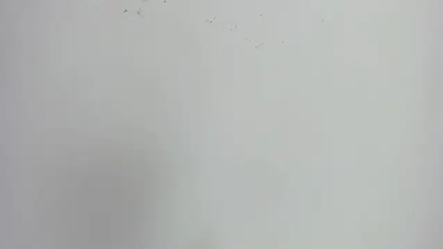 missexy303av online show from September 24, 2025, 8:59 pm