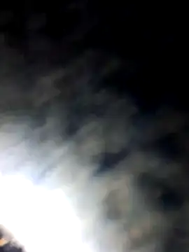 Snapshot of RovingAlcove chatting on April 1, 2026, 9:01 pm RovingAlcove online show from April 1, 2026, 9:01 pm