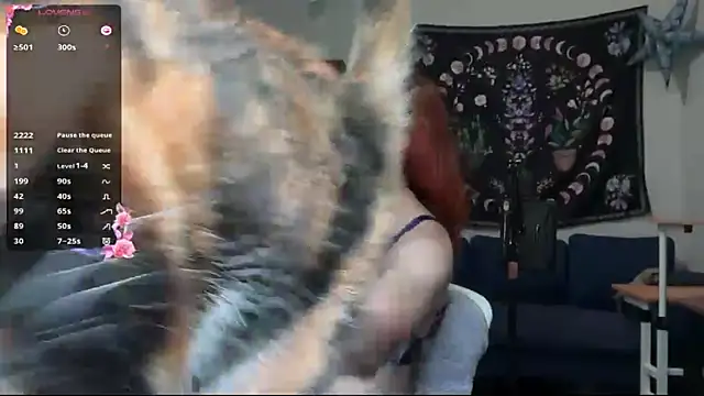 Snapshot of Aria_Fields chatting on May 12, 2026, 4:35 pm Aria Fields online show from May 12, 2026, 4:35 pm
