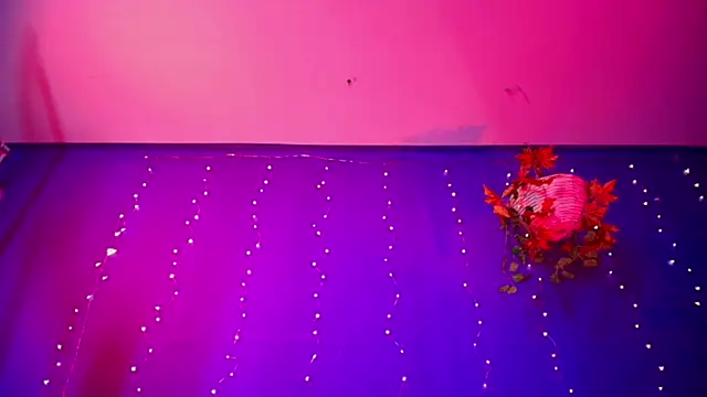 vanelope11 online show from December 21, 2025, 8:05 am