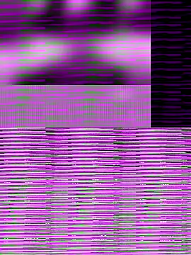 mobydick42085 online show from November 5, 2025, 10:35 pm