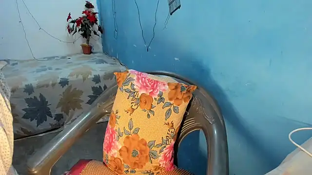 aarjulove online show from April 8, 2026, 10:39 am