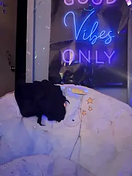 fantasymade69 online show from November 8, 2025, 6:50 am