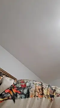 Snapshot of goldycox chatting on January 18, 2025, 2:58 am goldycox online show from January 18, 2025, 2:58 am