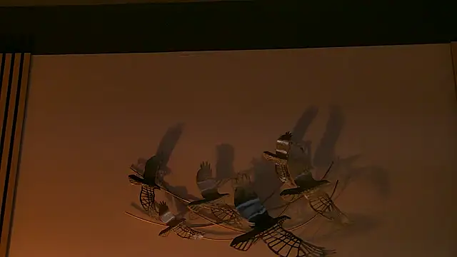 AngeliqueSkye online show from October 17, 2025, 3:10 am