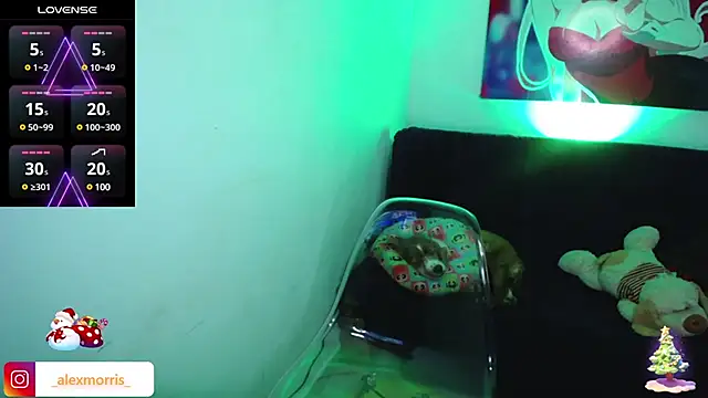 Snapshot of _AlexMorris chatting on December 19, 2024, 9:18 am AlexMorris online show from December 19, 2024, 9:18 am