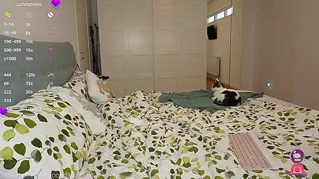 moondaoo online show from December 3, 2024, 8:44 am