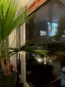 pillepallex84x online show from January 9, 2026, 4:47 pm