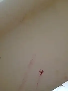 annaya sweet online show from April 25, 2026, 8:06 am