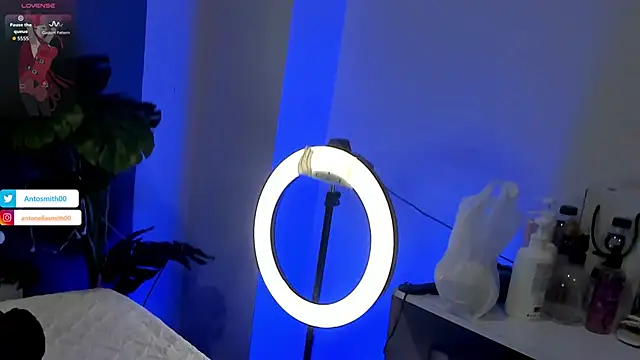 Antonellasmith00 online show from January 13, 2026, 1:15 pm