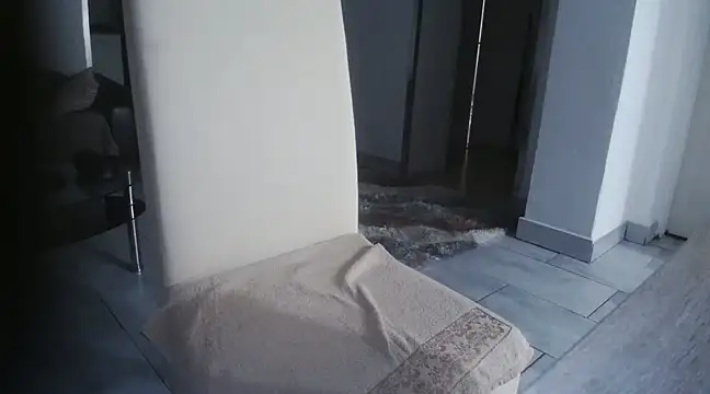 Erina654321 online show from December 28, 2024, 4:20 pm