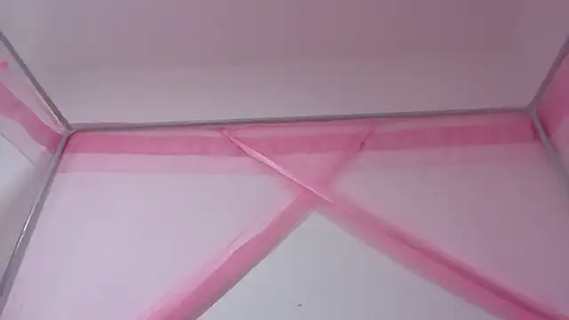 shandiloveslemonss online show from November 28, 2025, 3:28 am