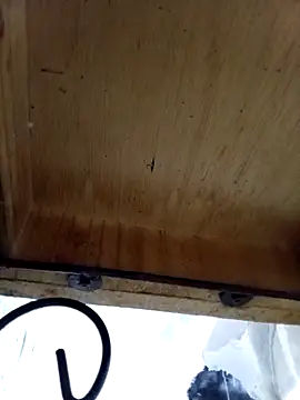 DaniSexFlow online show from October 13, 2025, 4:36 am