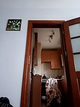 Misiopasyw1 online show from October 1, 2025, 1:48 pm